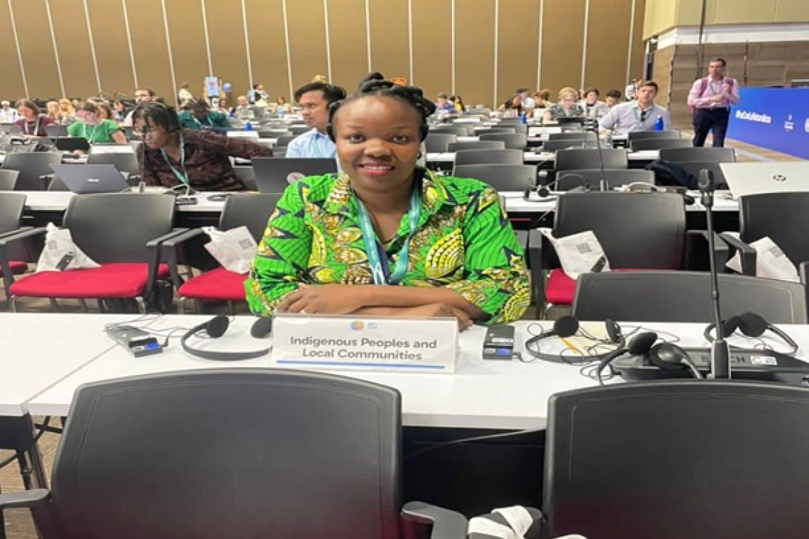 Protecting the global environment: Buganda's representation at COP16